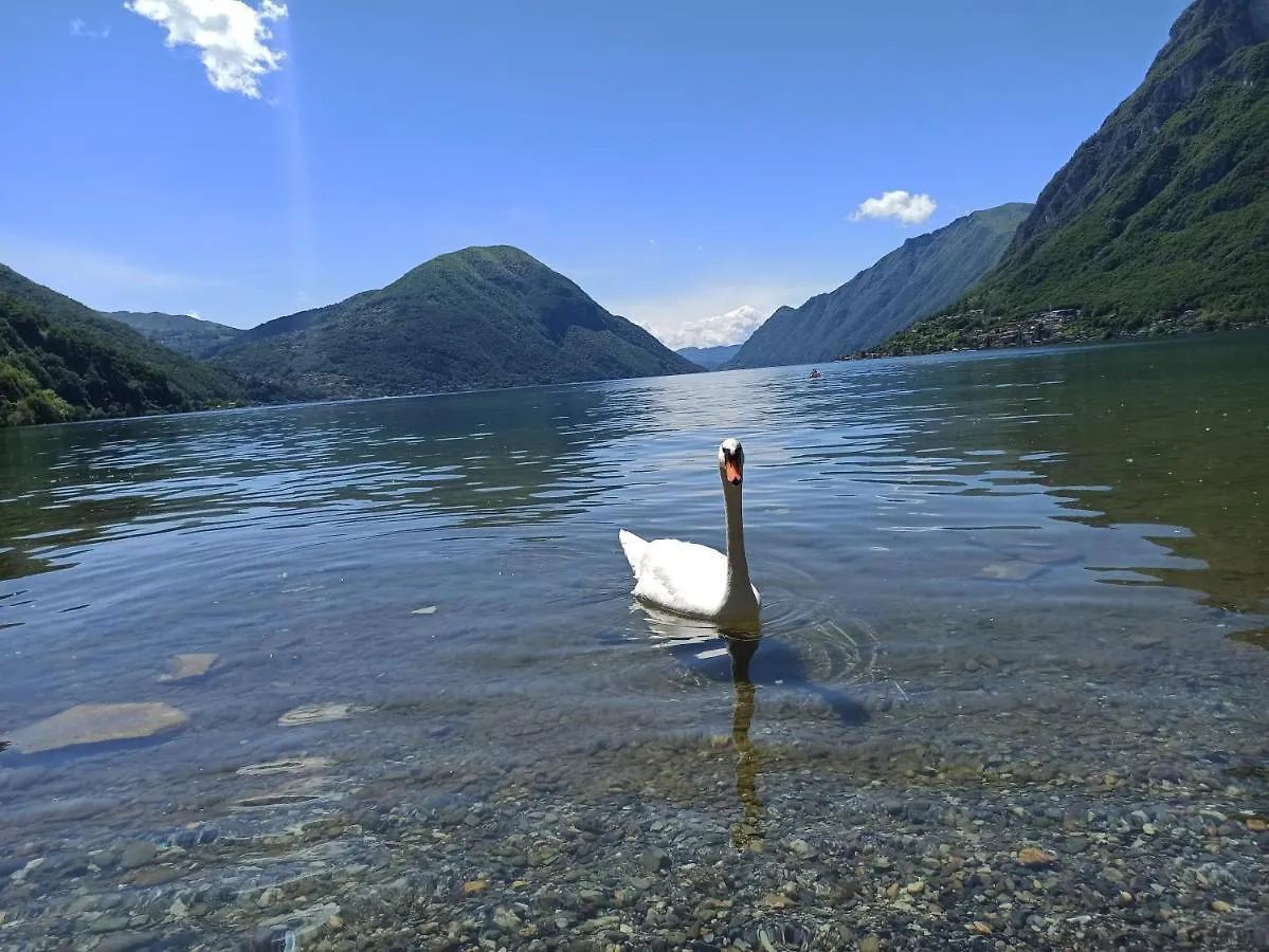 Bungalow Seaesta Lago Di Lugano 포를레차 이탈리아
